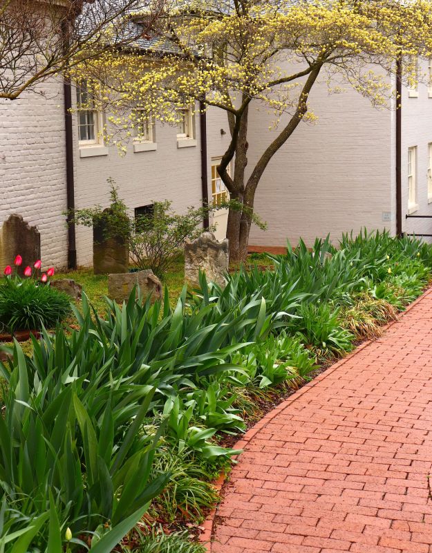 Brick Pathway Repair in Conroe, TX