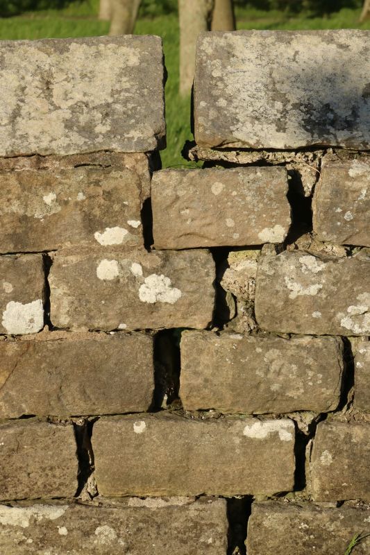 Stone Wall Repair in Spring, TX